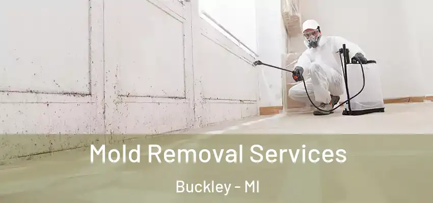  Mold Removal Services Buckley - MI