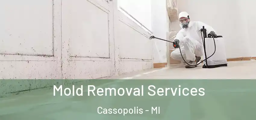  Mold Removal Services Cassopolis - MI
