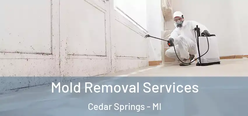  Mold Removal Services Cedar Springs - MI