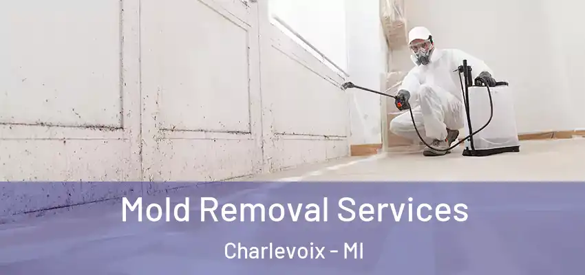  Mold Removal Services Charlevoix - MI