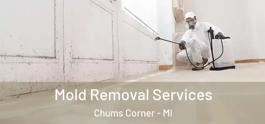  Mold Removal Services Chums Corner - MI