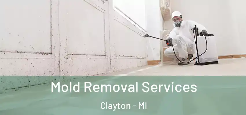  Mold Removal Services Clayton - MI
