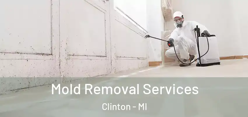  Mold Removal Services Clinton - MI