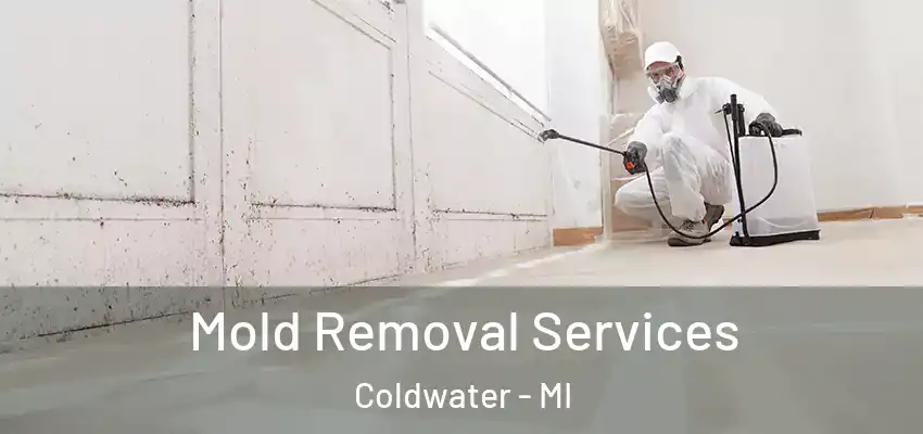  Mold Removal Services Coldwater - MI