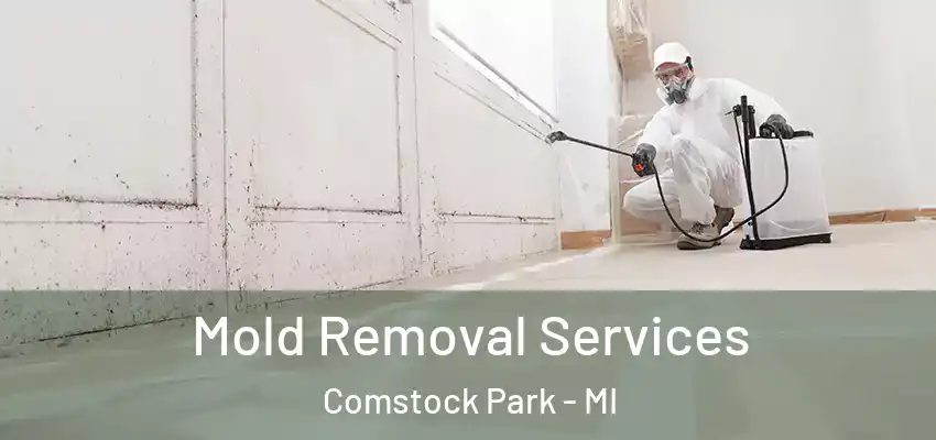  Mold Removal Services Comstock Park - MI
