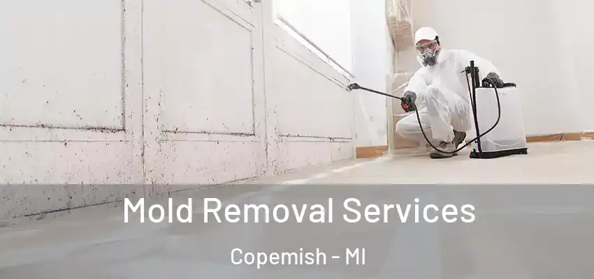  Mold Removal Services Copemish - MI