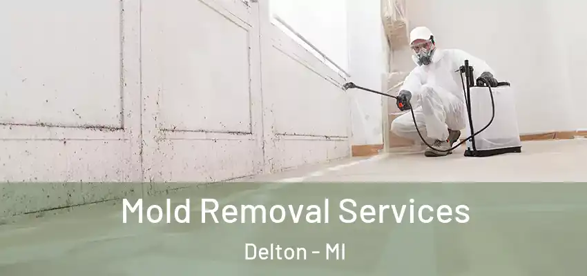  Mold Removal Services Delton - MI