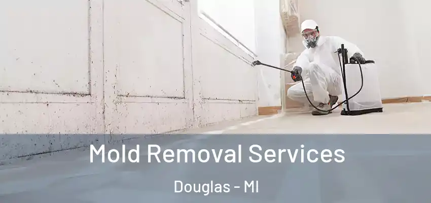  Mold Removal Services Douglas - MI