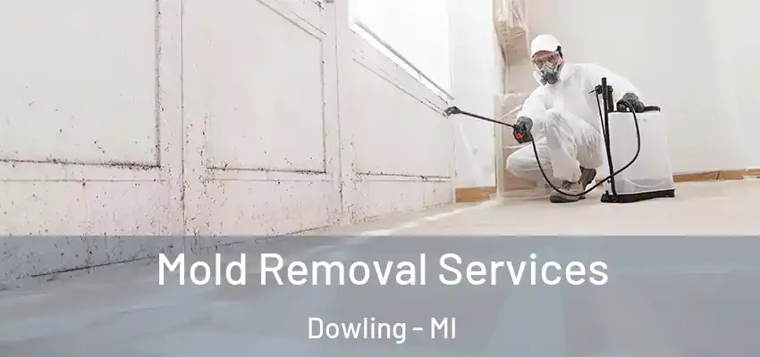 Mold Removal Services Dowling - MI