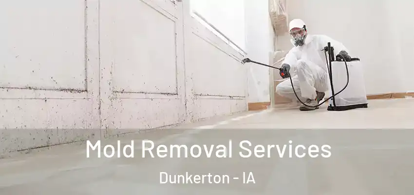 Mold Removal Services Dunkerton - IA