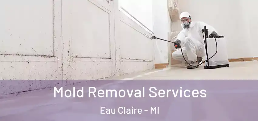 Mold Removal Services Eau Claire - MI
