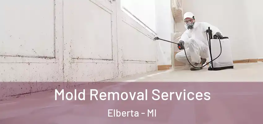  Mold Removal Services Elberta - MI