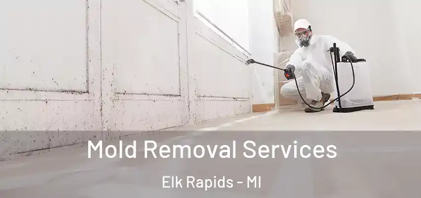 Mold Removal Services Elk Rapids - MI