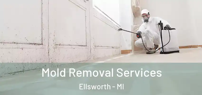 Mold Removal Services Ellsworth - MI