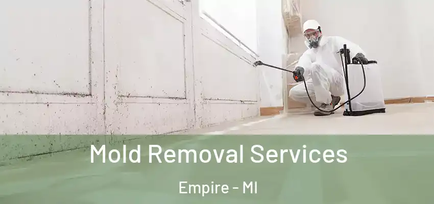 Mold Removal Services Empire - MI