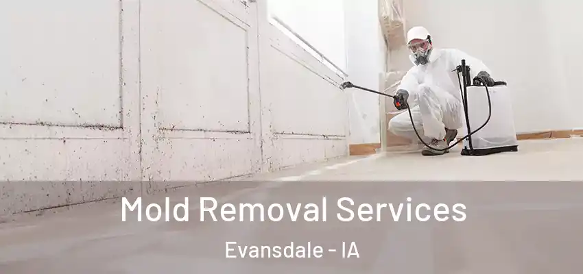 Mold Removal Services Evansdale - IA