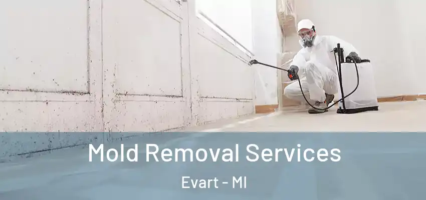 Mold Removal Services Evart - MI