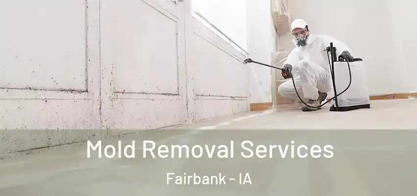  Mold Removal Services Fairbank - IA