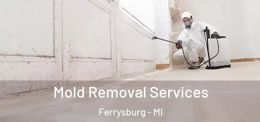 Mold Removal Services Ferrysburg - MI