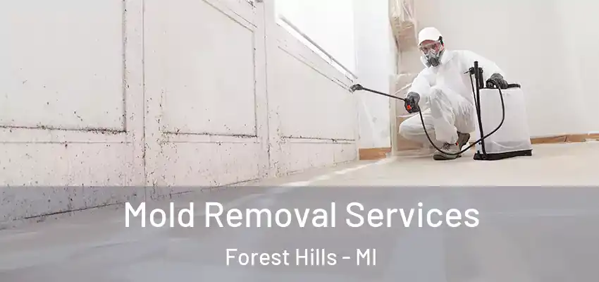 Mold Removal Services Forest Hills - MI