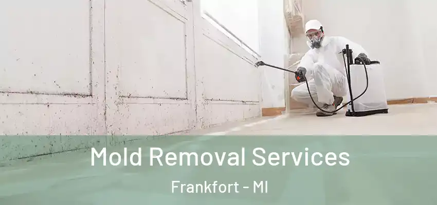 Mold Removal Services Frankfort - MI