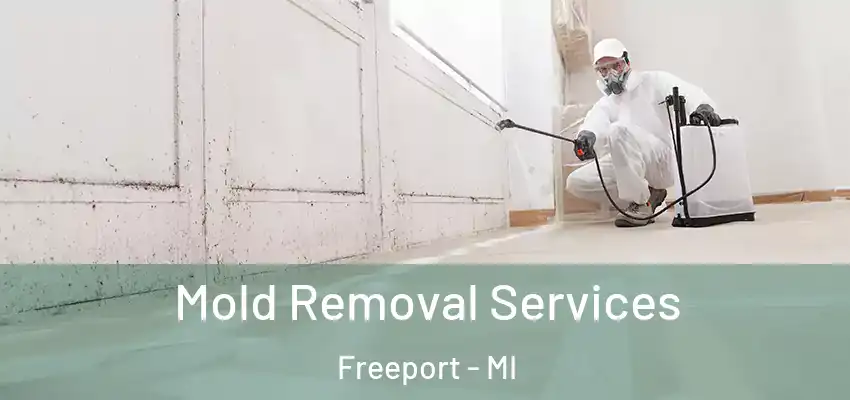  Mold Removal Services Freeport - MI