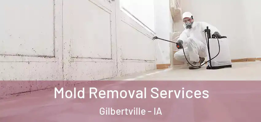  Mold Removal Services Gilbertville - IA