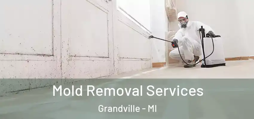  Mold Removal Services Grandville - MI