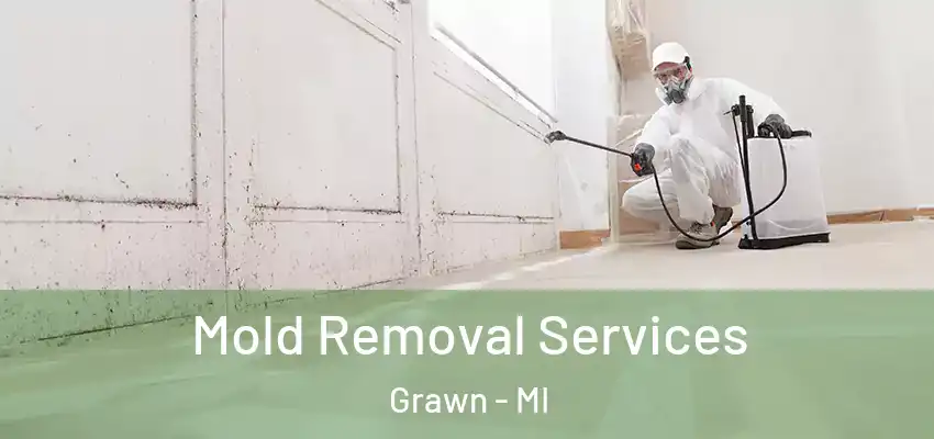 Mold Removal Services Grawn - MI