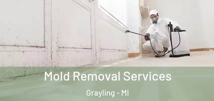  Mold Removal Services Grayling - MI