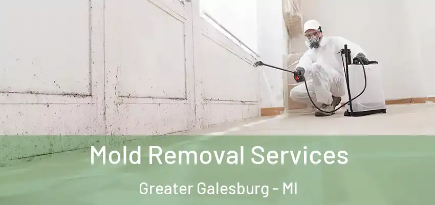 Mold Removal Services Greater Galesburg - MI