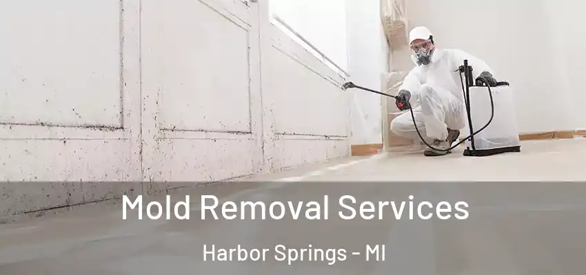 Mold Removal Services Harbor Springs - MI
