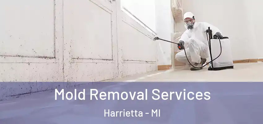 Mold Removal Services Harrietta - MI