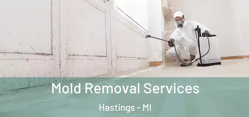  Mold Removal Services Hastings - MI