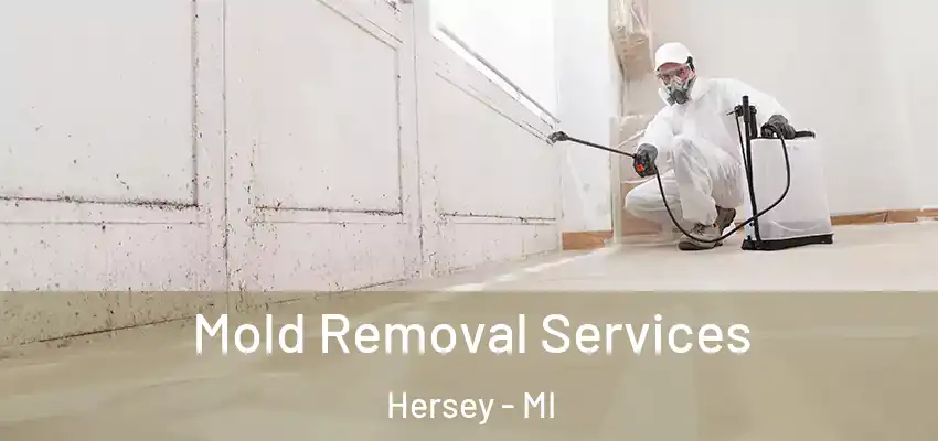  Mold Removal Services Hersey - MI