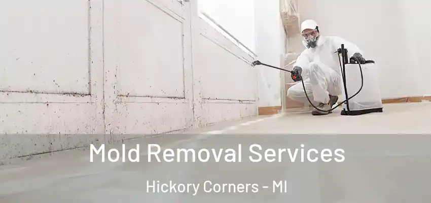  Mold Removal Services Hickory Corners - MI