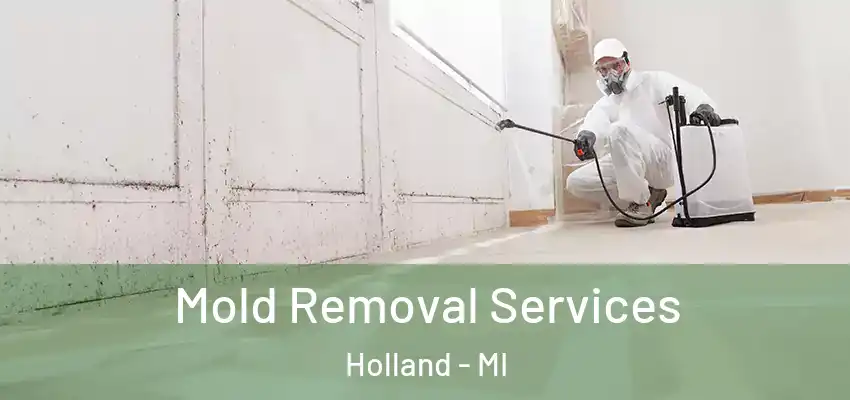 Mold Removal Services Holland - MI