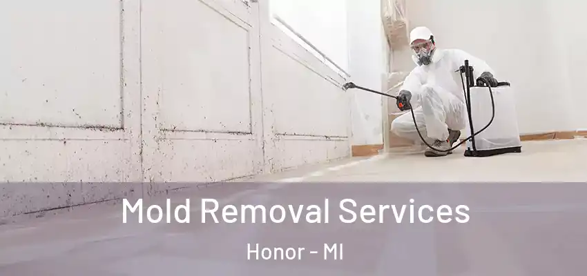 Mold Removal Services Honor - MI