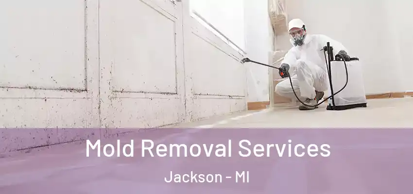  Mold Removal Services Jackson - MI