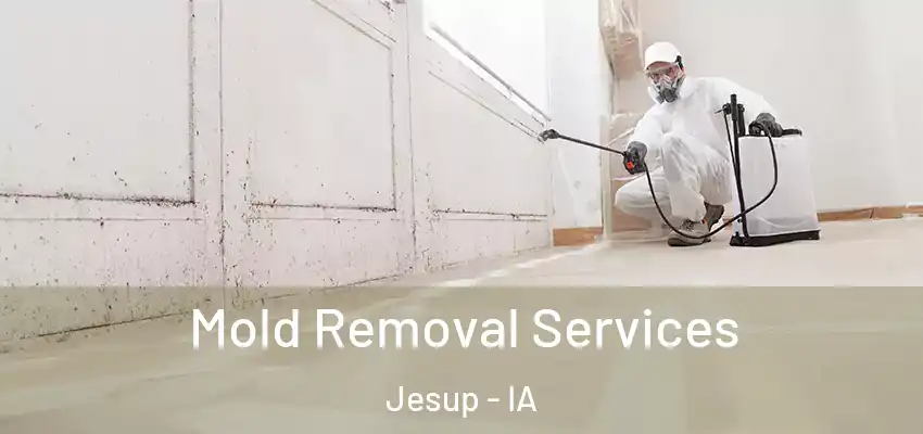  Mold Removal Services Jesup - IA