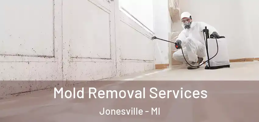  Mold Removal Services Jonesville - MI