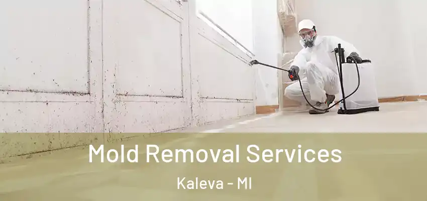 Mold Removal Services Kaleva - MI