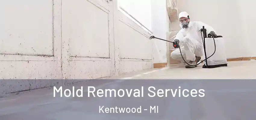  Mold Removal Services Kentwood - MI