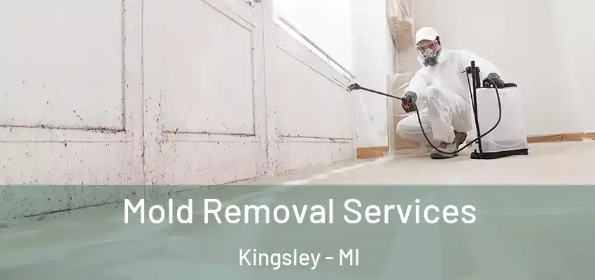 Mold Removal Services Kingsley - MI