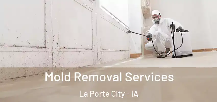  Mold Removal Services La Porte City - IA