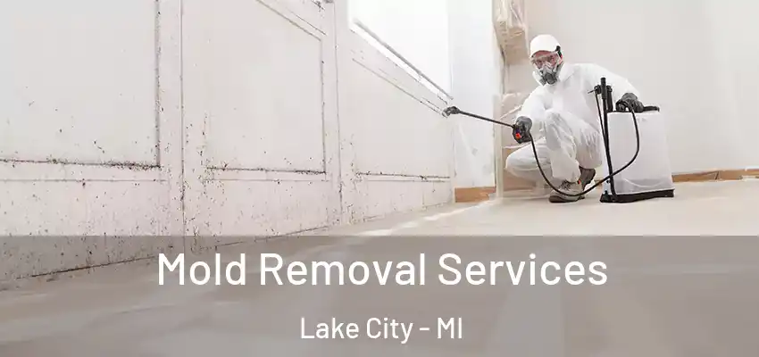  Mold Removal Services Lake City - MI