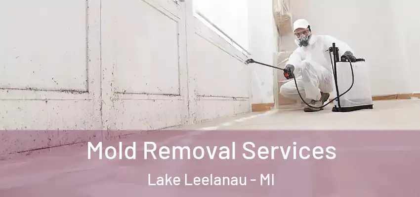  Mold Removal Services Lake Leelanau - MI