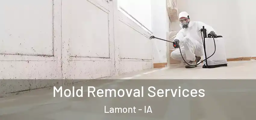  Mold Removal Services Lamont - IA