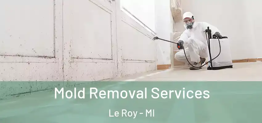 Mold Removal Services Le Roy - MI