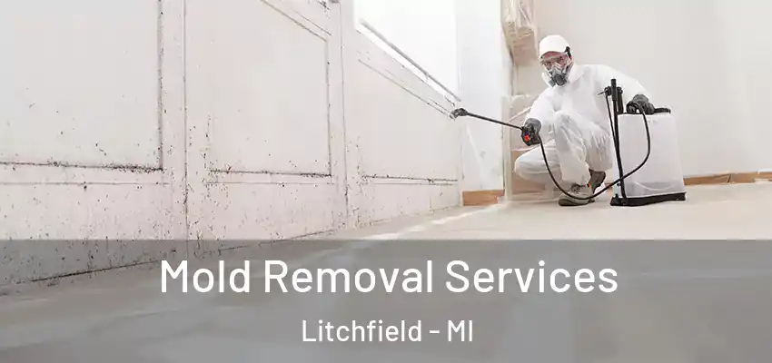  Mold Removal Services Litchfield - MI